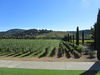 Ferrari-Carano Grounds