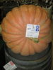 Massive Veggies