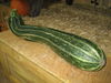 Massive Veggies